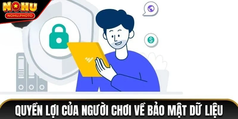 Chính Sách Bảo Mật Nohu Cookies