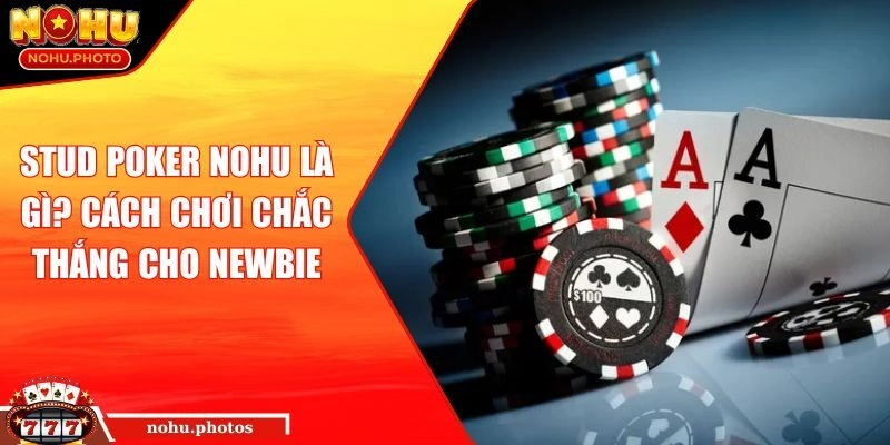 Stud Poker Nohu là gì? Cách chơi chắc thắng cho Newbie